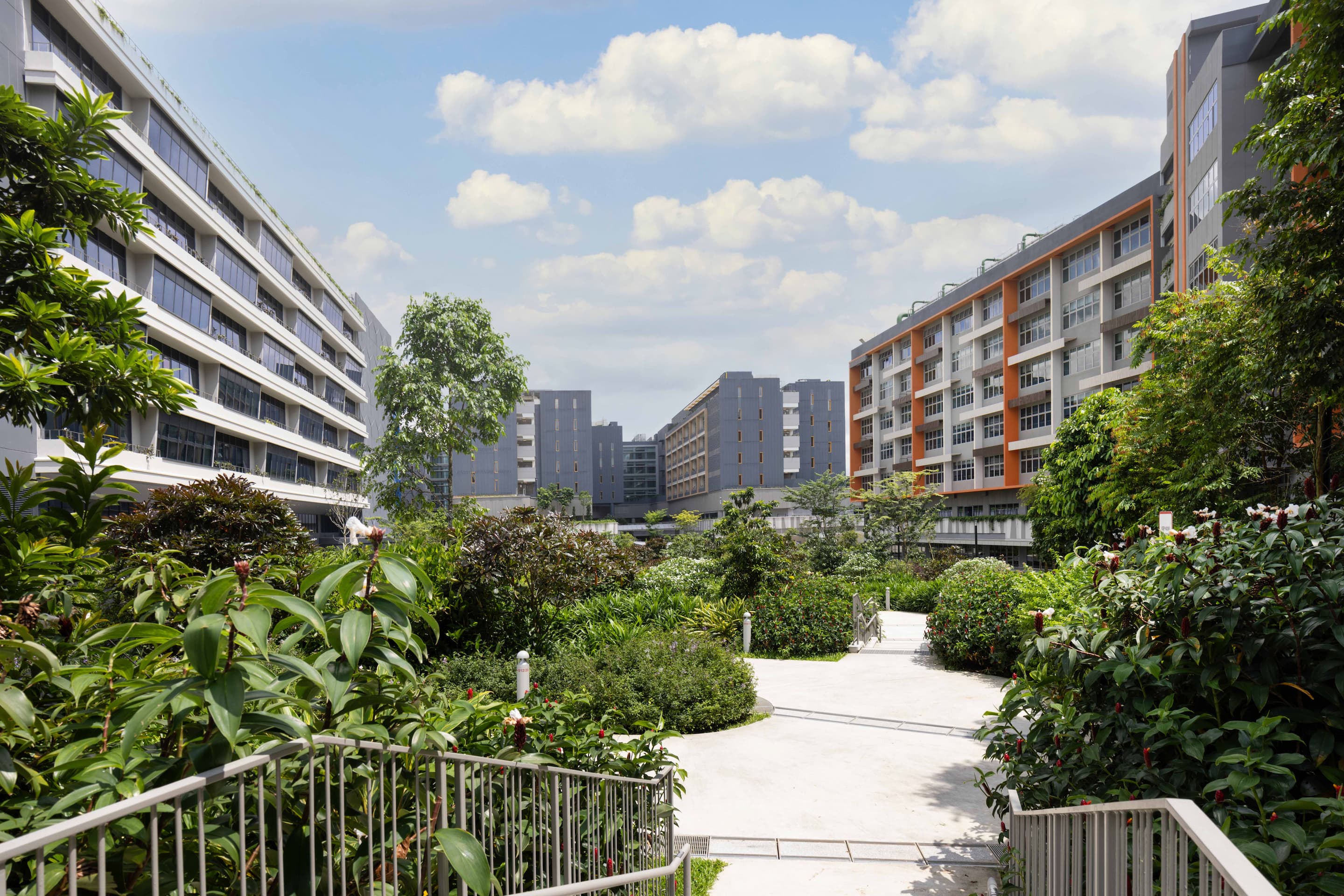 Pedestrian green walkway Woodlands Health campus