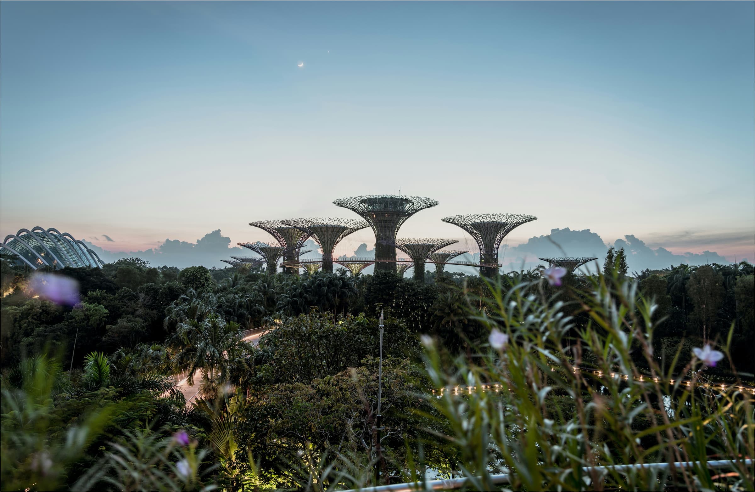 Sky garden Singapore view through greenery